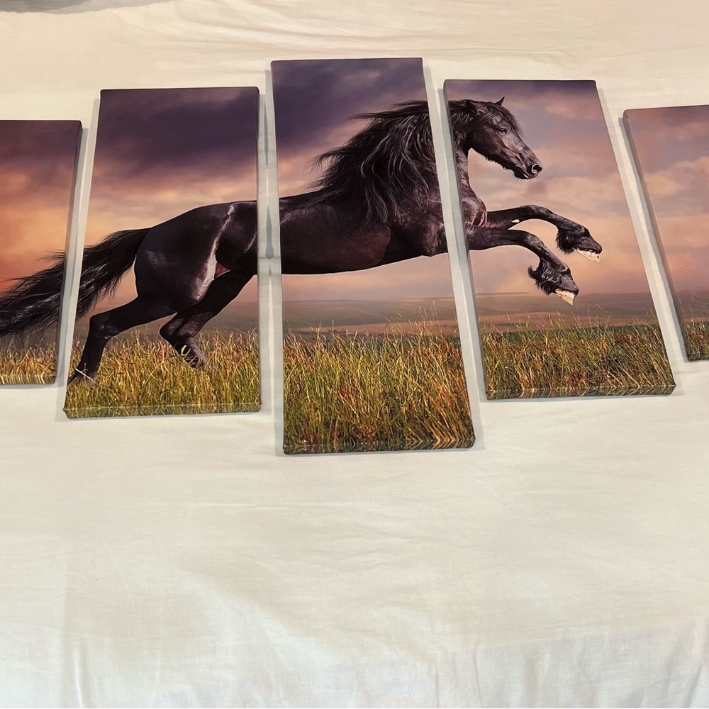 5PC BLACK HORSE CANVAS PRINT